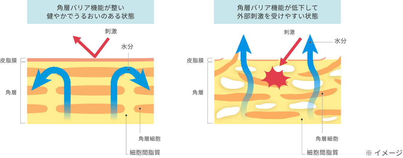 skin moisture image