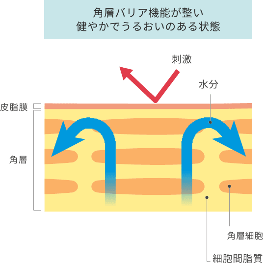skin moisture image
