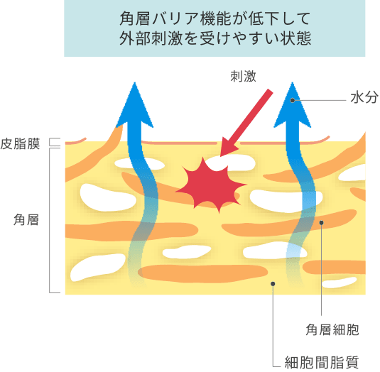 skin moisture image