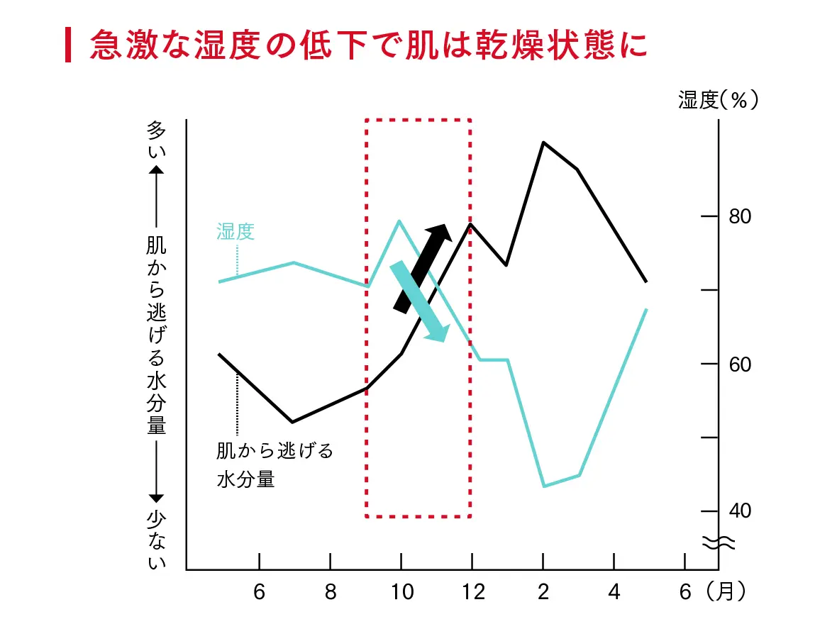 急激な湿度の低下で肌は乾燥状態に