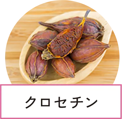 クロセチン