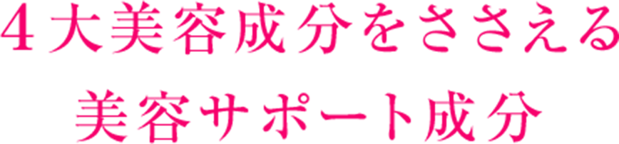 ４大美容成分をささえる 美容サポート成分