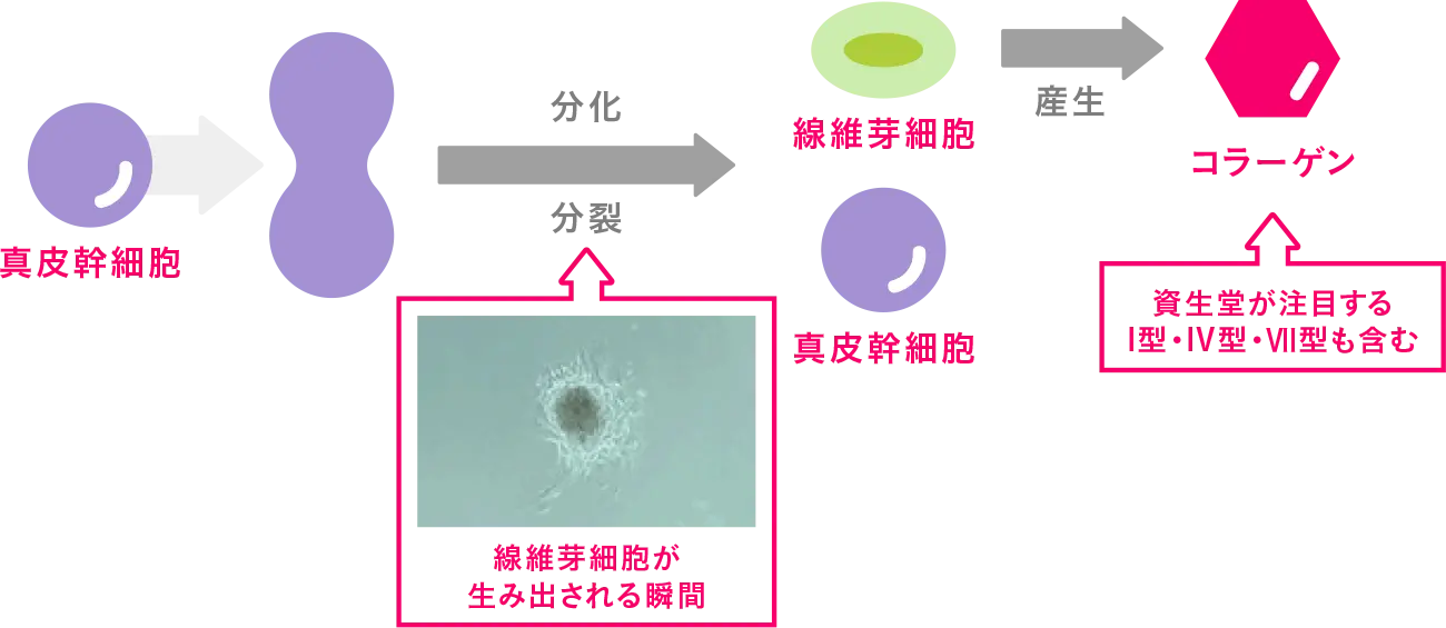 つくられる工程の画像