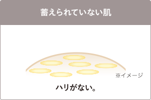蓄えられていない肌 ハリがない。 ※イメージ