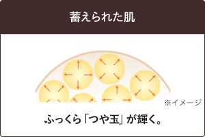 蓄えられた肌 ふっくら「つや玉」が輝く。 ※イメージ