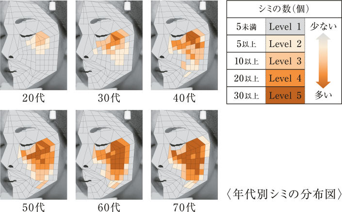 年代別シミの分布図