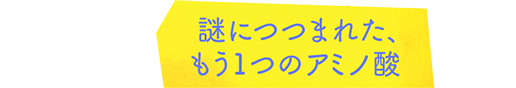 謎につつまれた、もう1つのアミノ酸