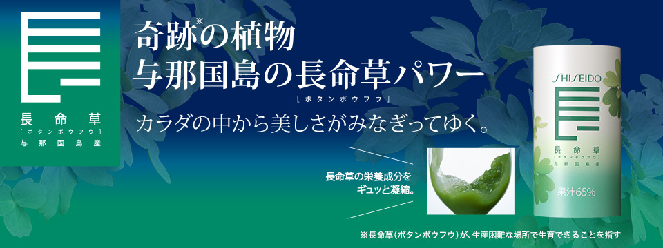 資生堂 長命草