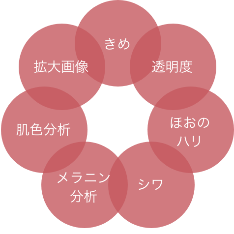 きめ 透明度 ほおのハリ シワ メラニン分析 肌色分析 拡大画像 きめ