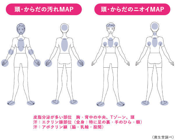 皮脂分泌が多い部位　胸・背中の中央、Tゾーン、頭　汗：エクリン腺部位（全身：特に足の裏・手のひら・額）　汗：アポクリン腺（脇・乳輪・股間）