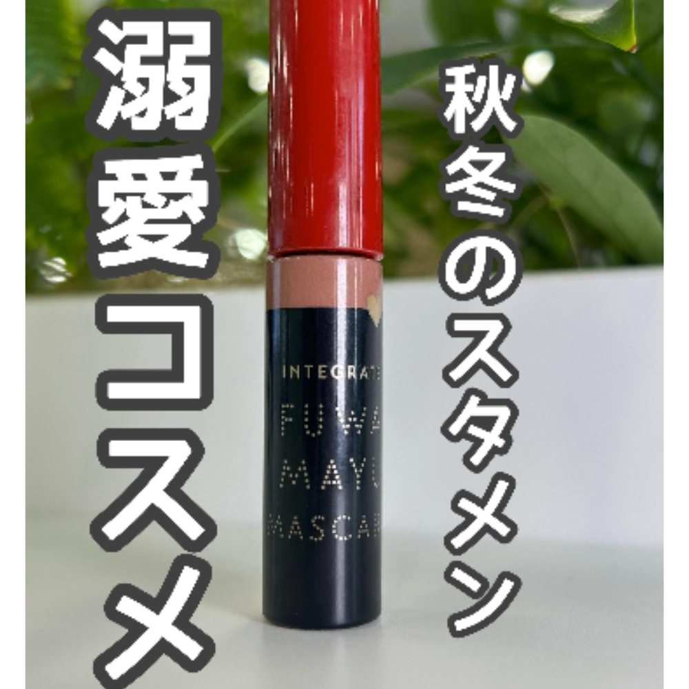 投稿の表紙