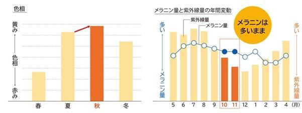 メラニン量と紫外線の年間変動
