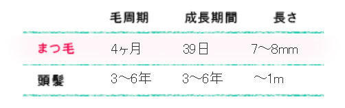 まつ毛のメカニズム知ってる?
