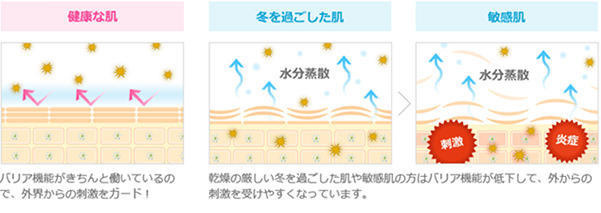 花粉やちり、ほこり...。顔がムズムズしてしまうのはなぜ?