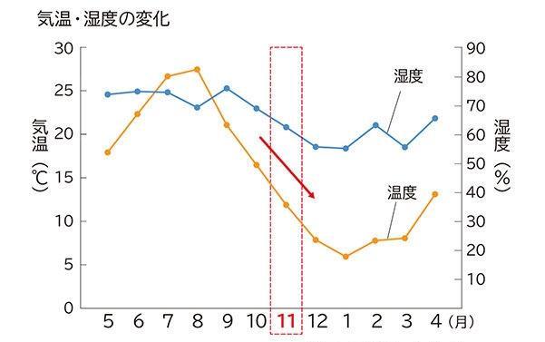 気温と湿度が急降下！乾燥が厳しくなる時季