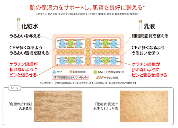 化粧水&乳液を塗った肌の状態