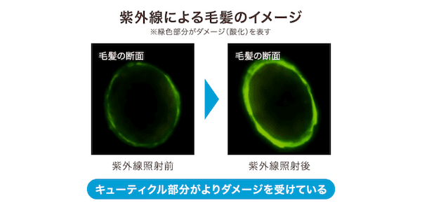 240708_hairUV_02.png