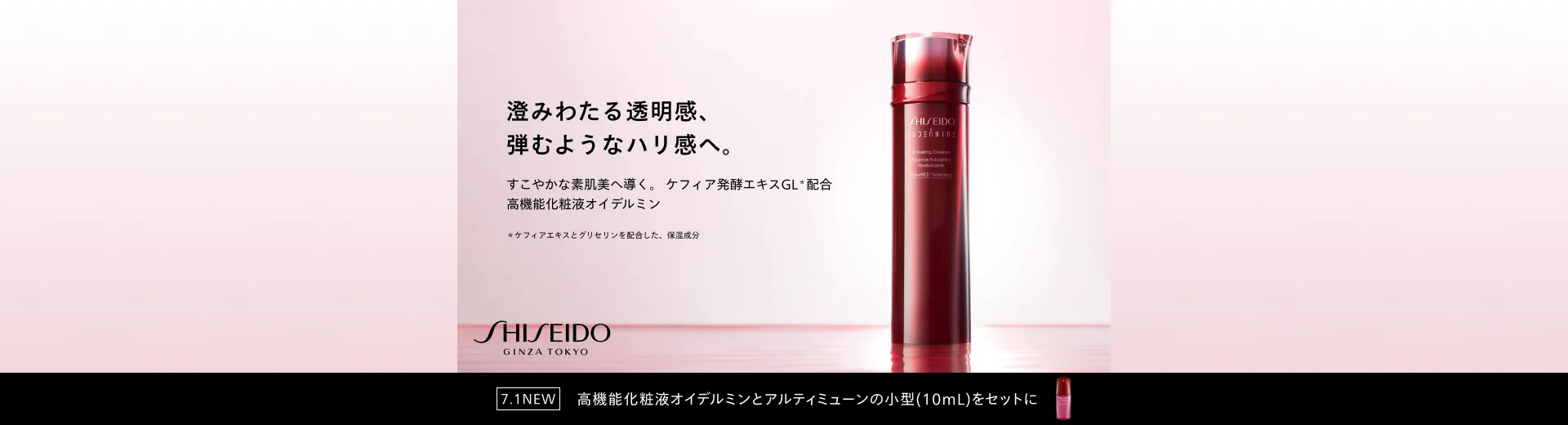 SHISEIDO オイデルミン夏肌スキンケアキット