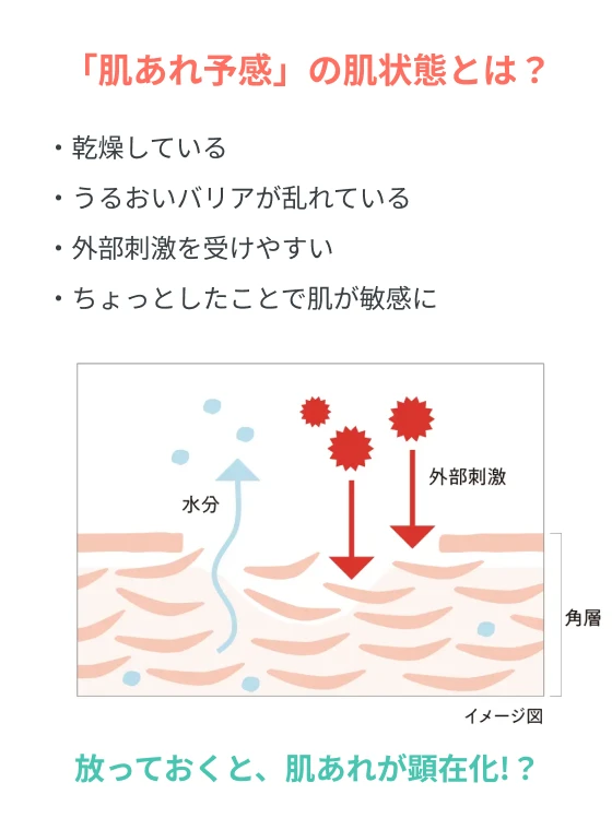 「肌あれ予感」の肌状態とは？ ・乾燥している ・うるおいバリアが乱れている ・外部刺激を受けやすい ・ちょっとしたことで肌が敏感に 放っておくと、肌あれが顕在化!？