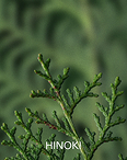 成分写真：HINOKI