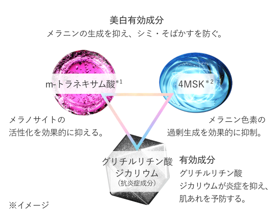 3種の薬用有効成分メカニズム図