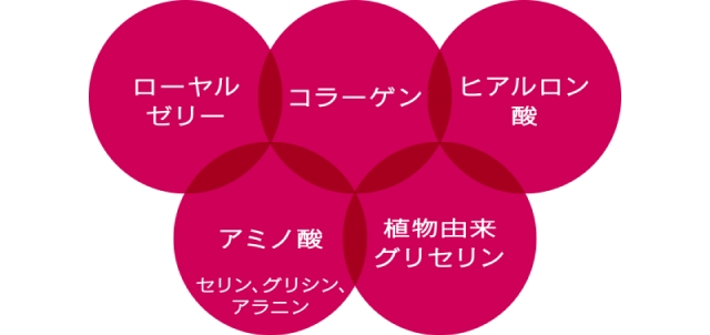 ローヤルゼリー コラーゲン ヒアルロン酸 アミノ酸 セリン、グリシン、アラニン 植物由来グリセリン