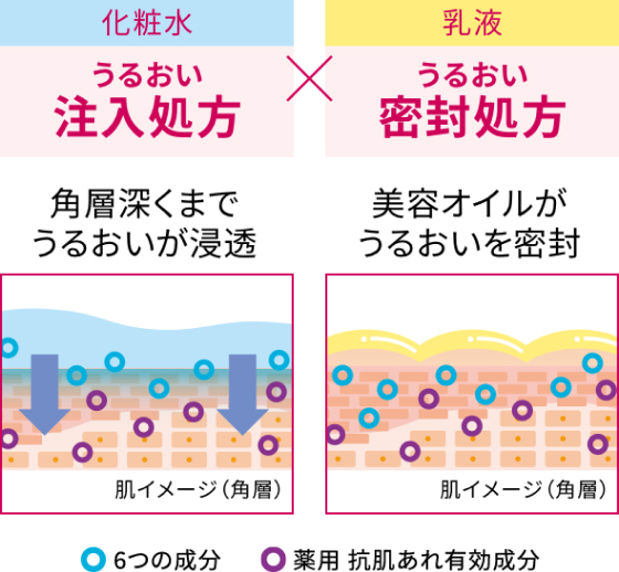 化粧水 うるおい注入処方×乳液 うるおい密封処方