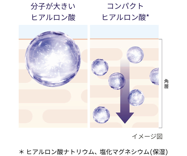 分子が大きいヒアルロン酸 コンパクトヒアルロン酸* *ヒアルロン酸ナトリウム、塩化マグネシウム(保湿)
