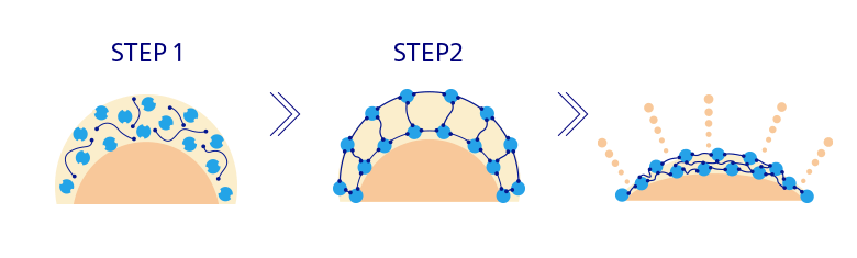 STEP1 STEP2