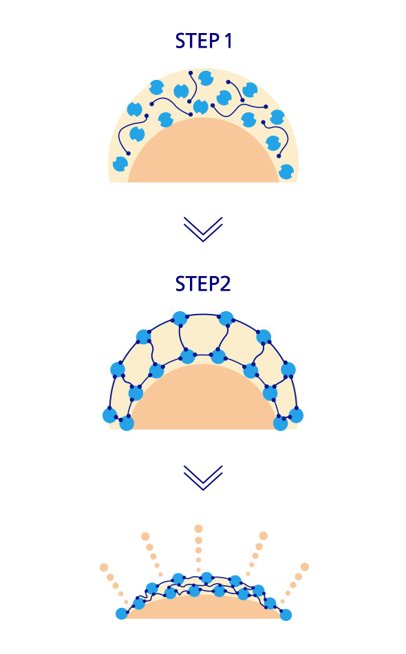 STEP1 STEP2