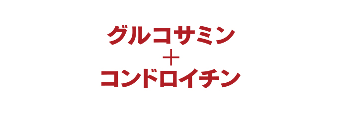 グルコサミン＋コンドロイチン